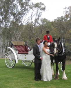 Lyndsey & Michael - patting